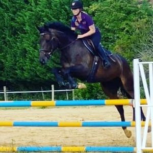 cheval noir en train de sauter un obstacle avec une cavalière en selle.